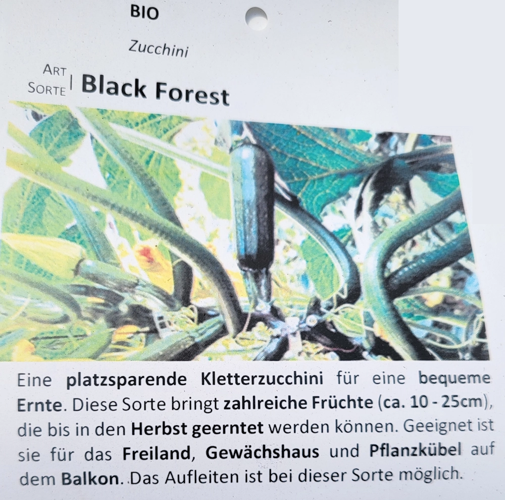 Zucchini BlackForest