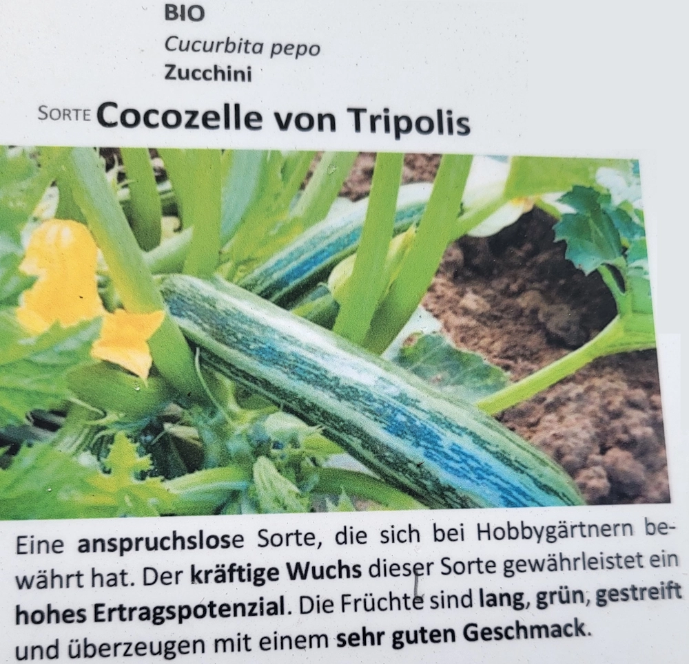 Zucchini Cocozelle von Tripolis