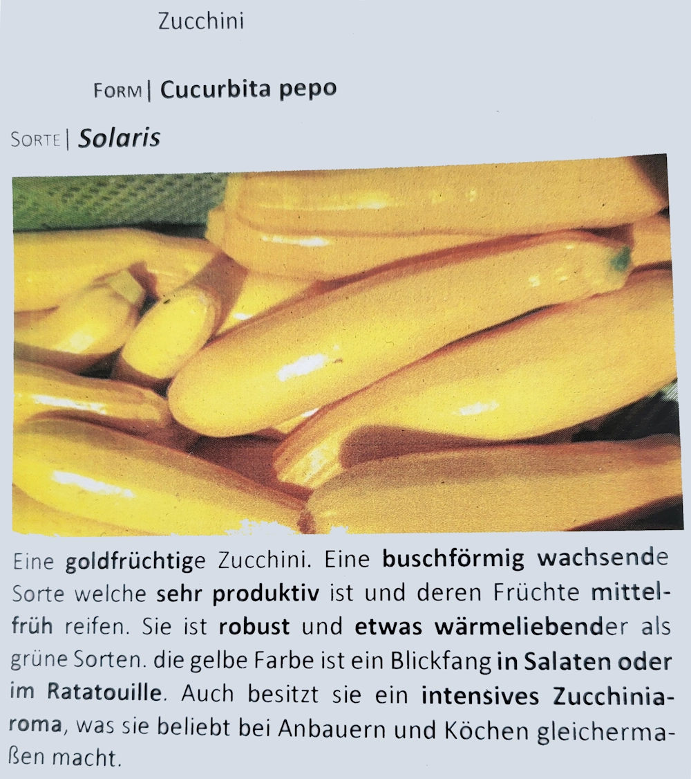Zucchini-Solaris